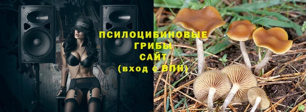 МДПВ Саяногорск