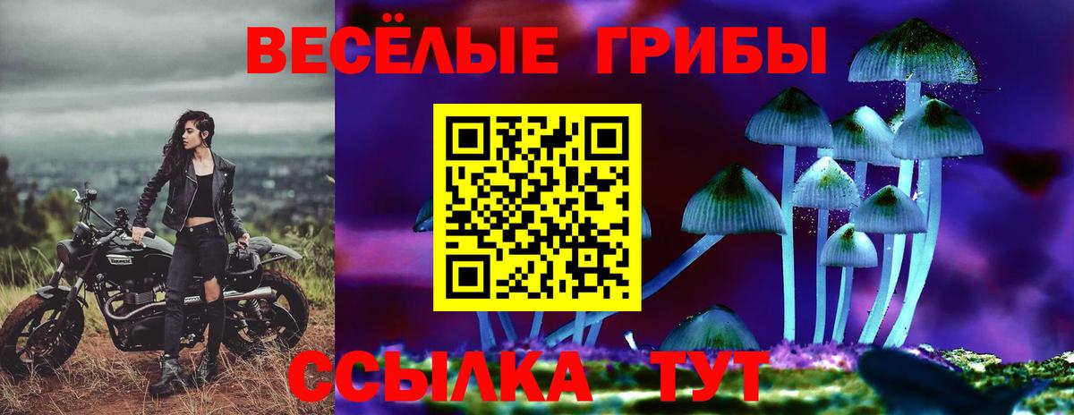 Галлюциногенные грибы мухоморы  Вход с VPN  Галлюциногенные грибы Cubensis  Можга 