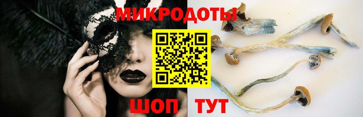 Псилоцибиновые грибы GOLDEN TEACHER Можга